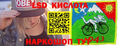 индика Гусев