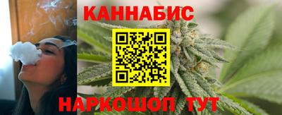 индика Гусев