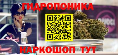 индика Гусев