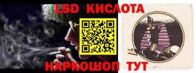 индика Гусев