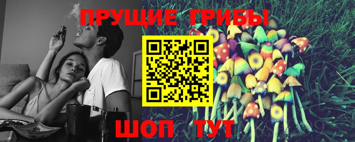 Галлюциногенные грибы Psilocybe Нижнекамск